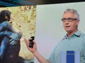 [과학] 프란스 드 봐알(Frans de Waal): 알파메일(우두머리 수컷)에 대한 놀라운 과학