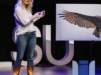 [사회] 로렌 페어(Lauren Pharr): 독수리가 어떻게 범죄 해결을 도울 수 있을까요?