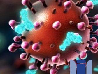 [의학] 세스 버클리: HIV와 독감--백신 전략